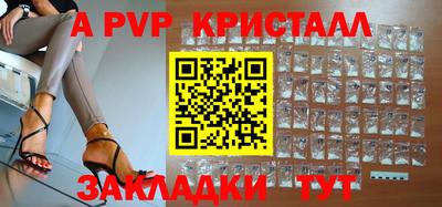 твердый Кингисепп
