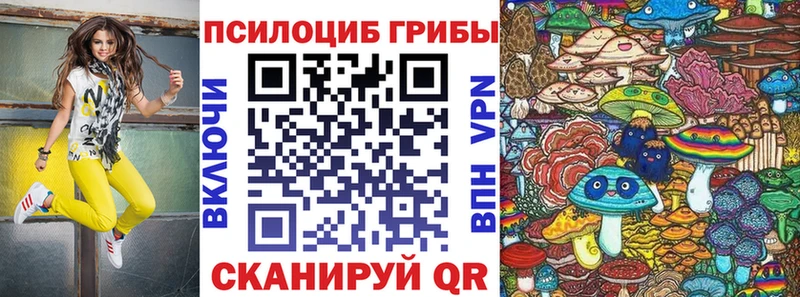 Псилоцибиновые грибы прущие грибы Медногорск