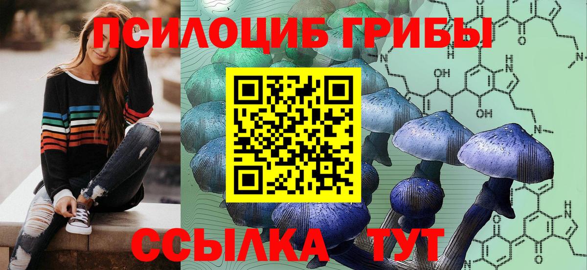 Галлюциногенные грибы мицелий  Псилоцибиновые грибы прущие грибы  Вход с VPN  Медногорск 